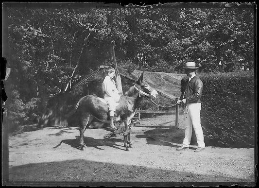 Plaque verre photo négatif noir et blanc 6x9 cm enfant âne glass plate 