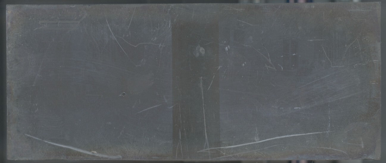 Famille, Belgique, Plaque verre stéréoscopie, négatif noir & blanc 4,5x10,7 cm