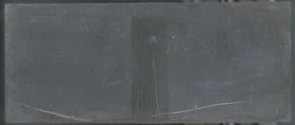 Famille, Belgique, Plaque verre stéréoscopie, négatif noir & blanc 4,5x10,7 cm