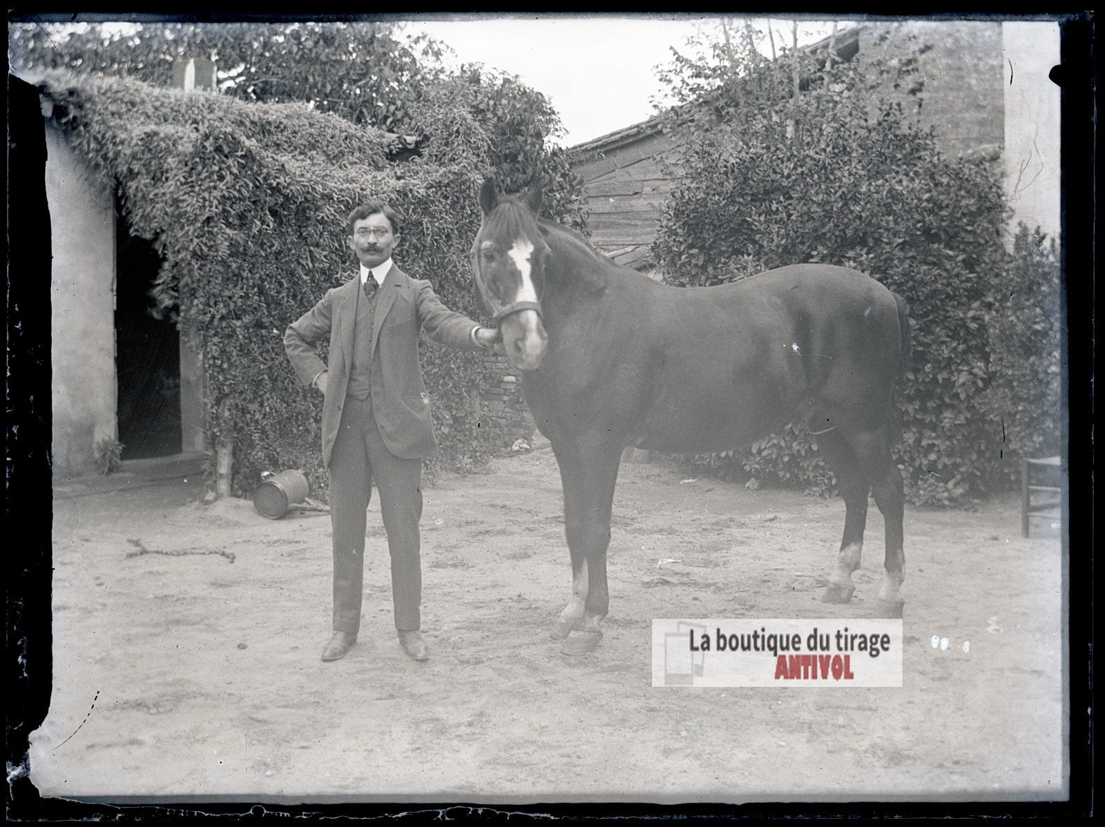 Homme posant avec un cheval, plaque verre photo ancienne, négatif 9x12 cm