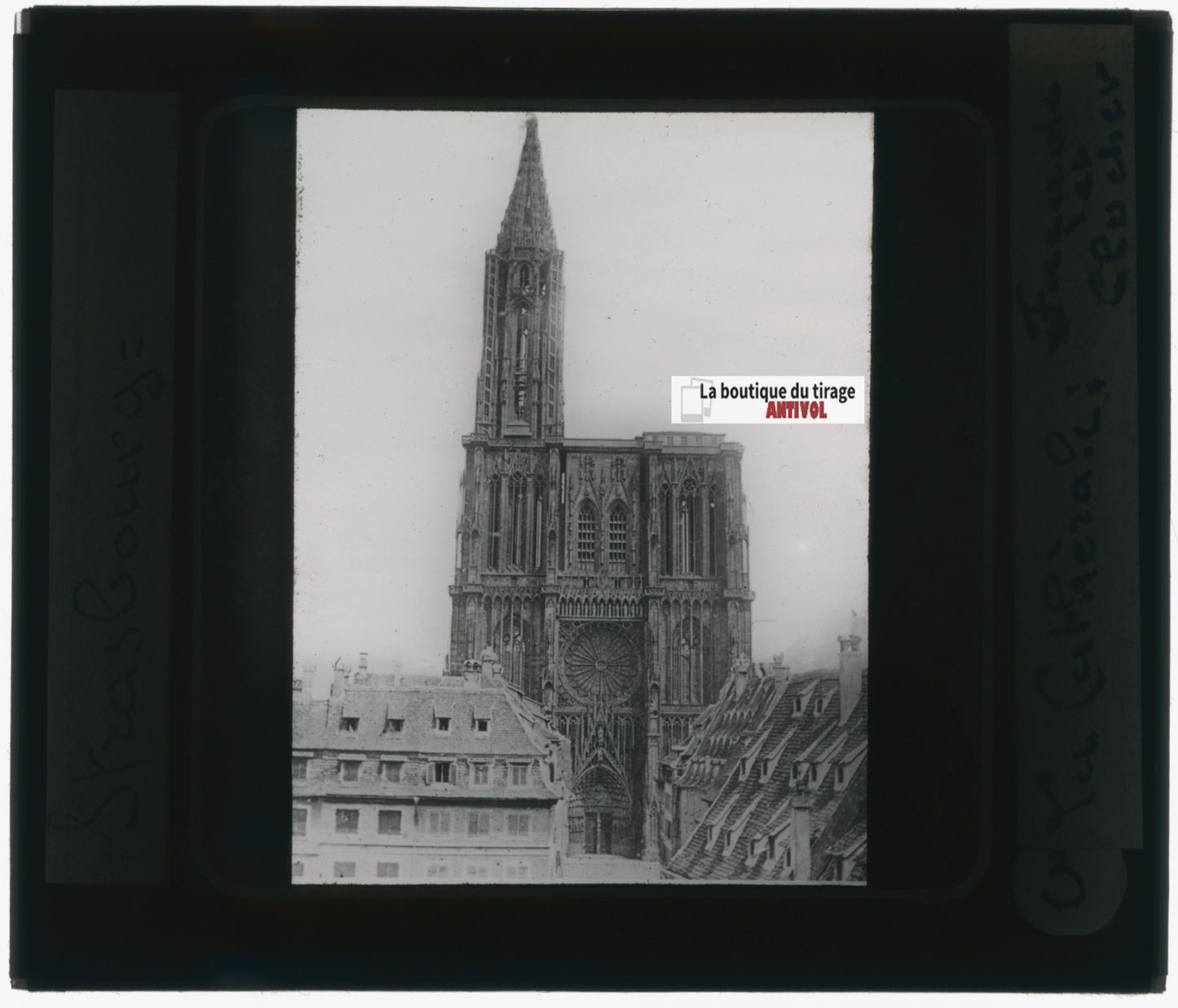 Cathédrale de Strasbourg, photo plaque verre, noir & blanc, positif 8,5x10 cm