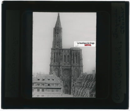 Cathédrale de Strasbourg, photo plaque verre, noir & blanc, positif 8,5x10 cm