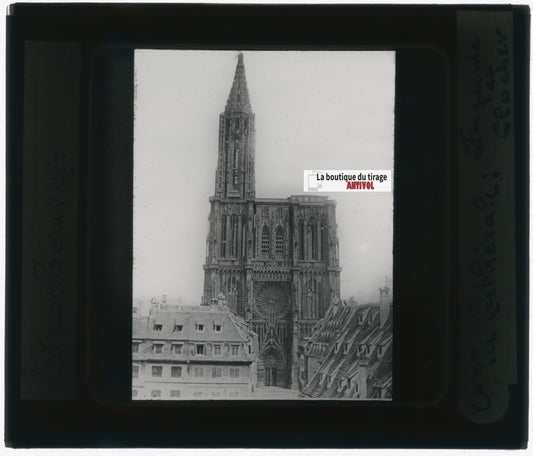 Cathédrale de Strasbourg, photo plaque verre, noir & blanc, positif 8,5x10 cm