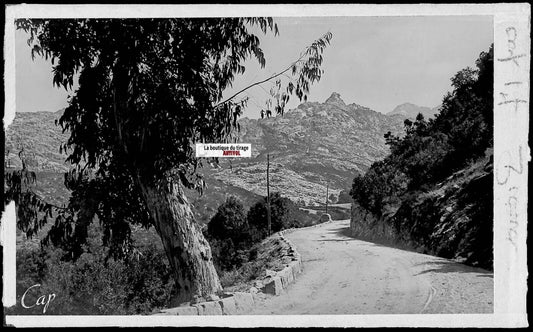 Plaque verre photo négatif noir & blanc 9x14 cm, Piana, Corse, montagne du Lion