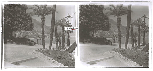 Côte d'Azur, Plaque verre photo ancienne stéréo, positif noir & blanc 6x13 cm