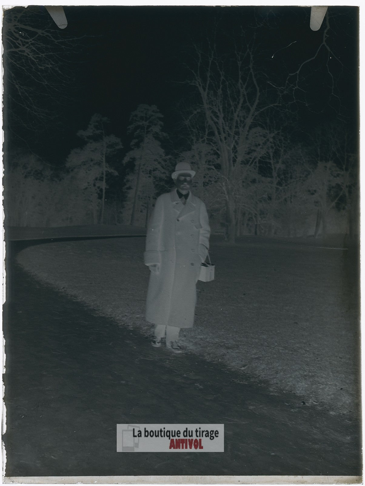 Homme, promenade, parc, plaque verre, photo ancienne, négatif 9x12 cm