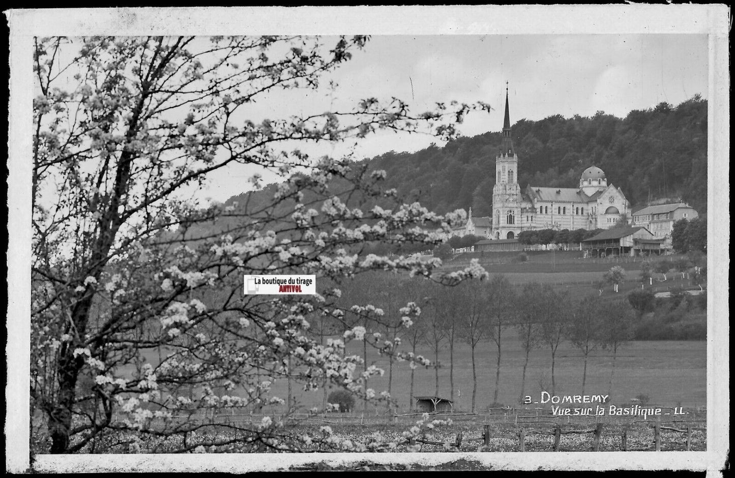 Plaque verre photo ancienne, négatif noir & blanc 9x14 cm, Domrémy-la-Pucelle