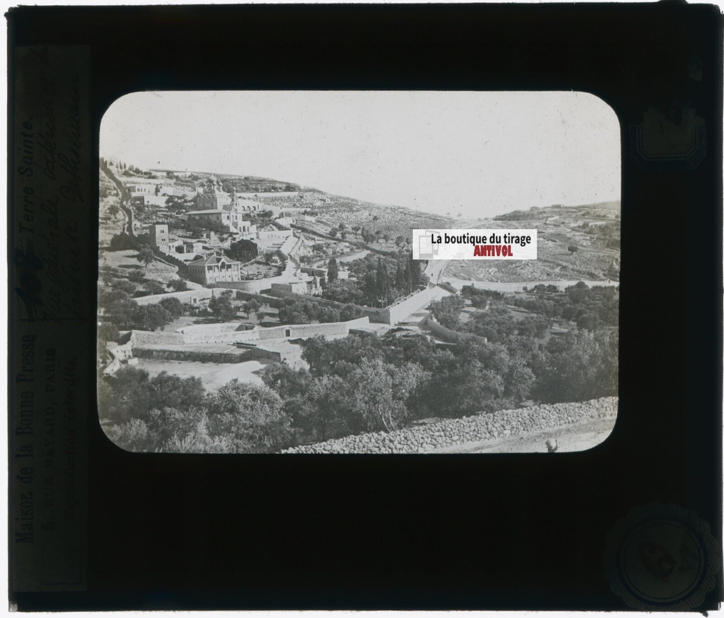 Gethsémani, Jérusalem, photo plaque verre, noir & blanc, positif 8,5x10 cm
