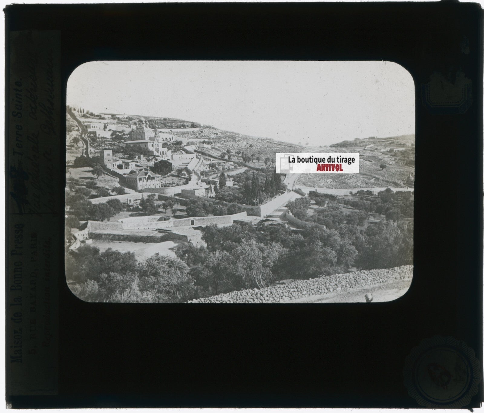 Gethsémani, Jérusalem, photo plaque verre, noir & blanc, positif 8,5x10 cm