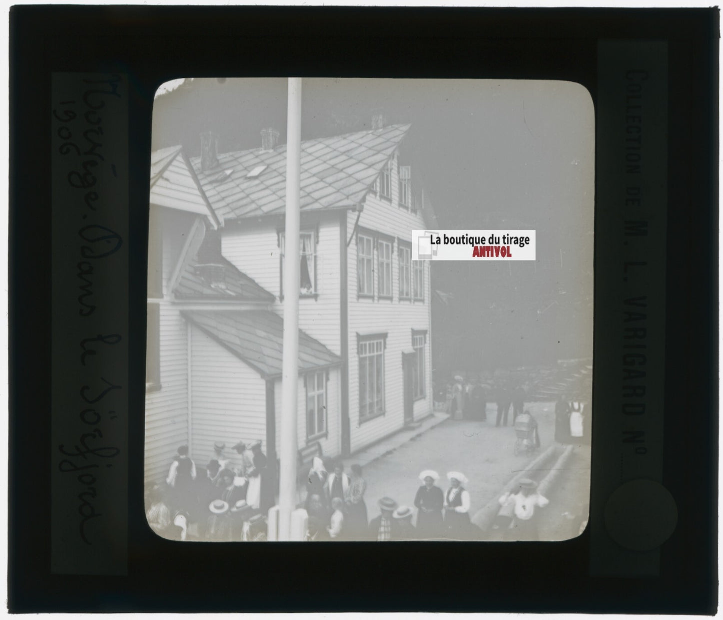 Sognefjord, Norvège, photo plaque de verre, noir & blanc, positif 8,5x10 cm