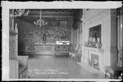 Plaque verre photo, négatif noir & blanc 9x14 cm, château de Pau, Henri d'Albret