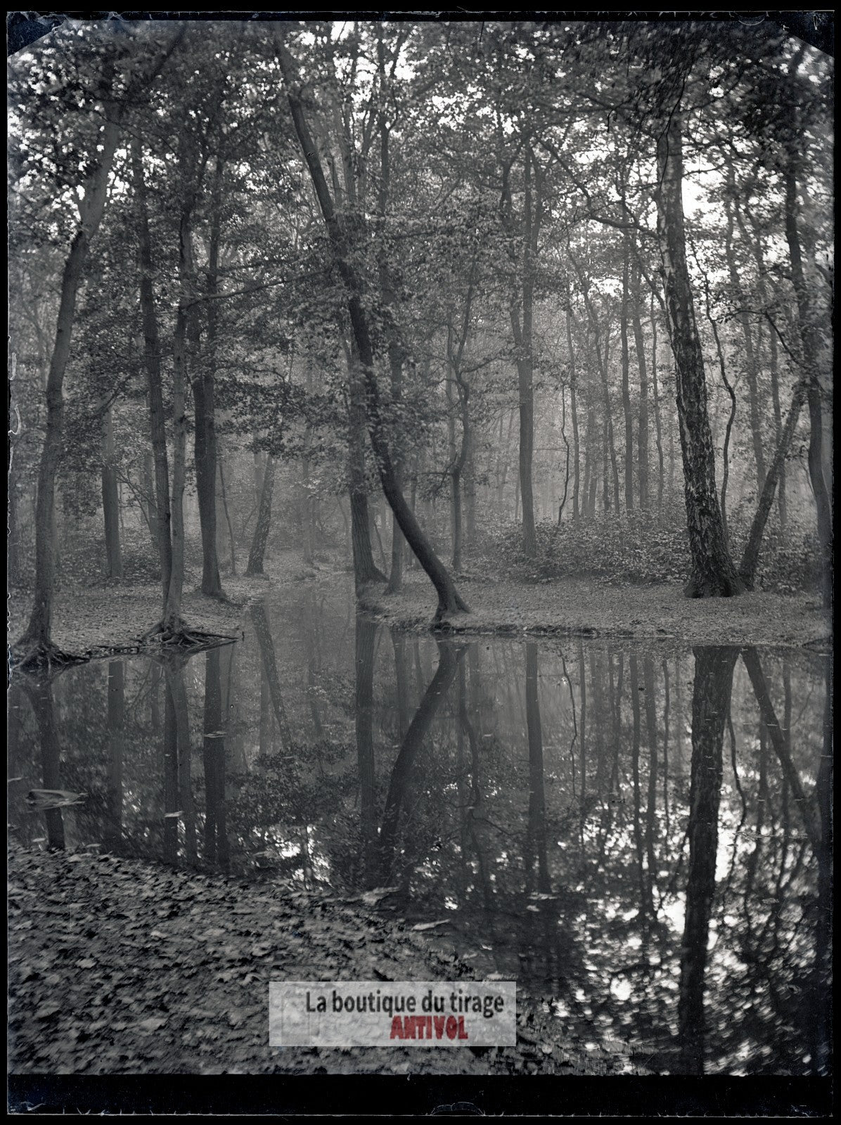 Bois de Boulogne, Paris, plaque verre, photo ancienne, négatif 9x12 cm