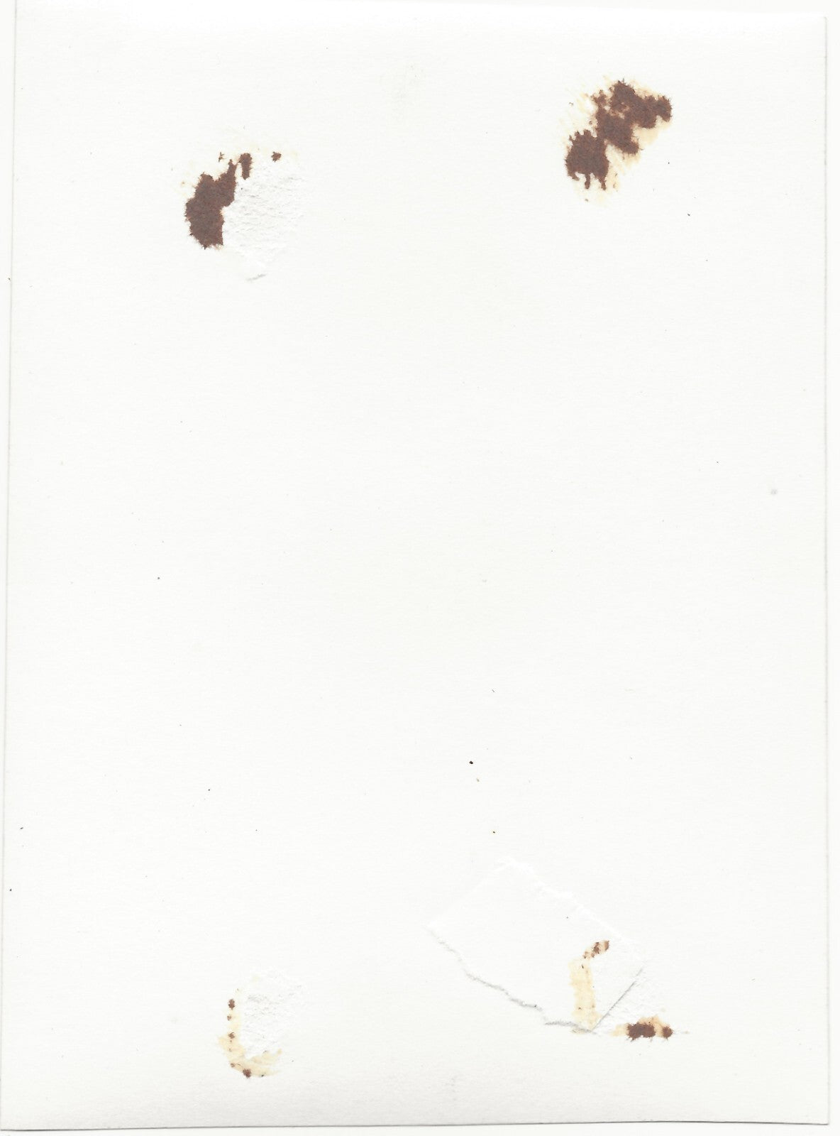 Plaque verre photo ancienne négatif noir et blanc 13x18 cm Stiring-Wendel France