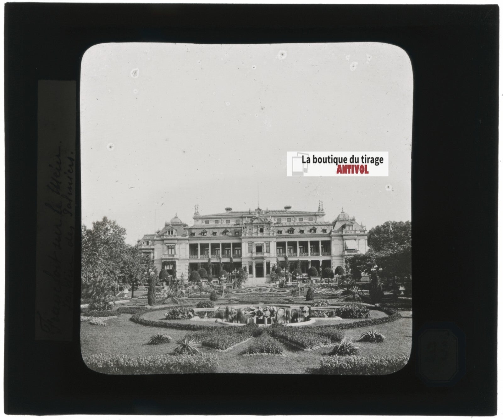 Jardin des plantes, Francfort, Allemagne, photo plaque verre, positif 8,5x10 cm