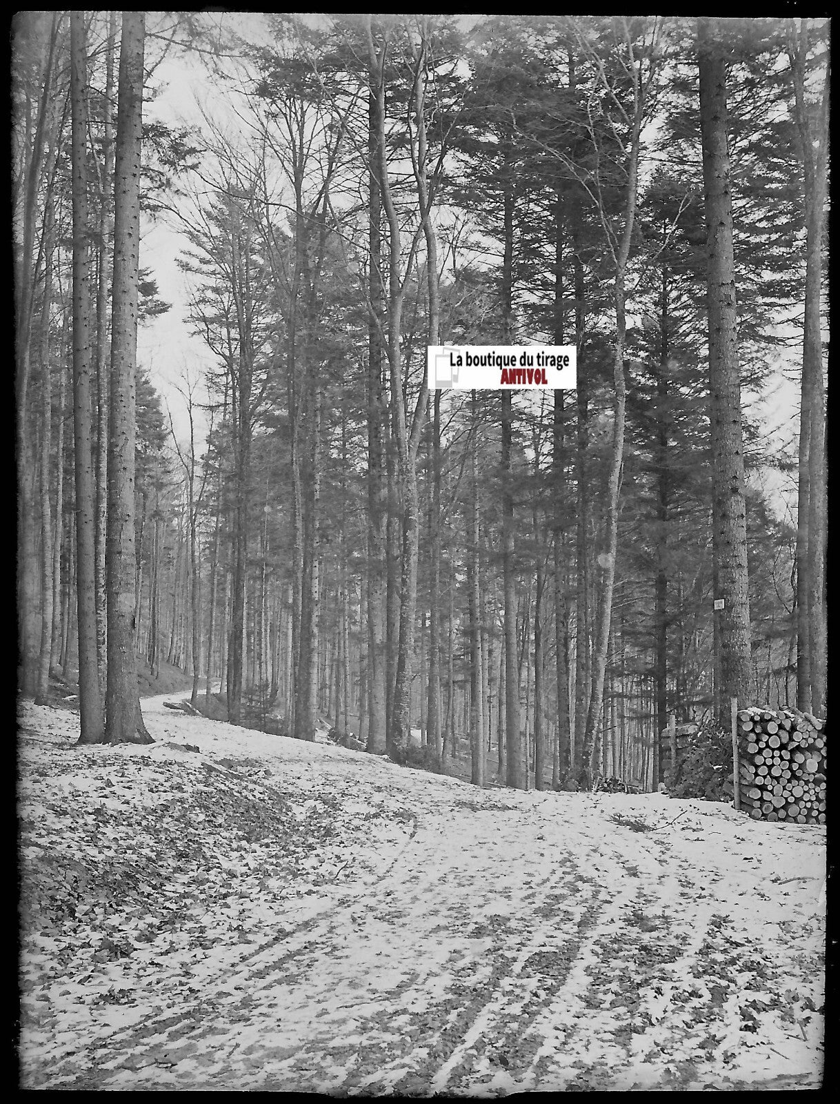 Gengenbach, forêt neige, Plaque verre photo, négatif ancien noir & blanc 9x12 cm