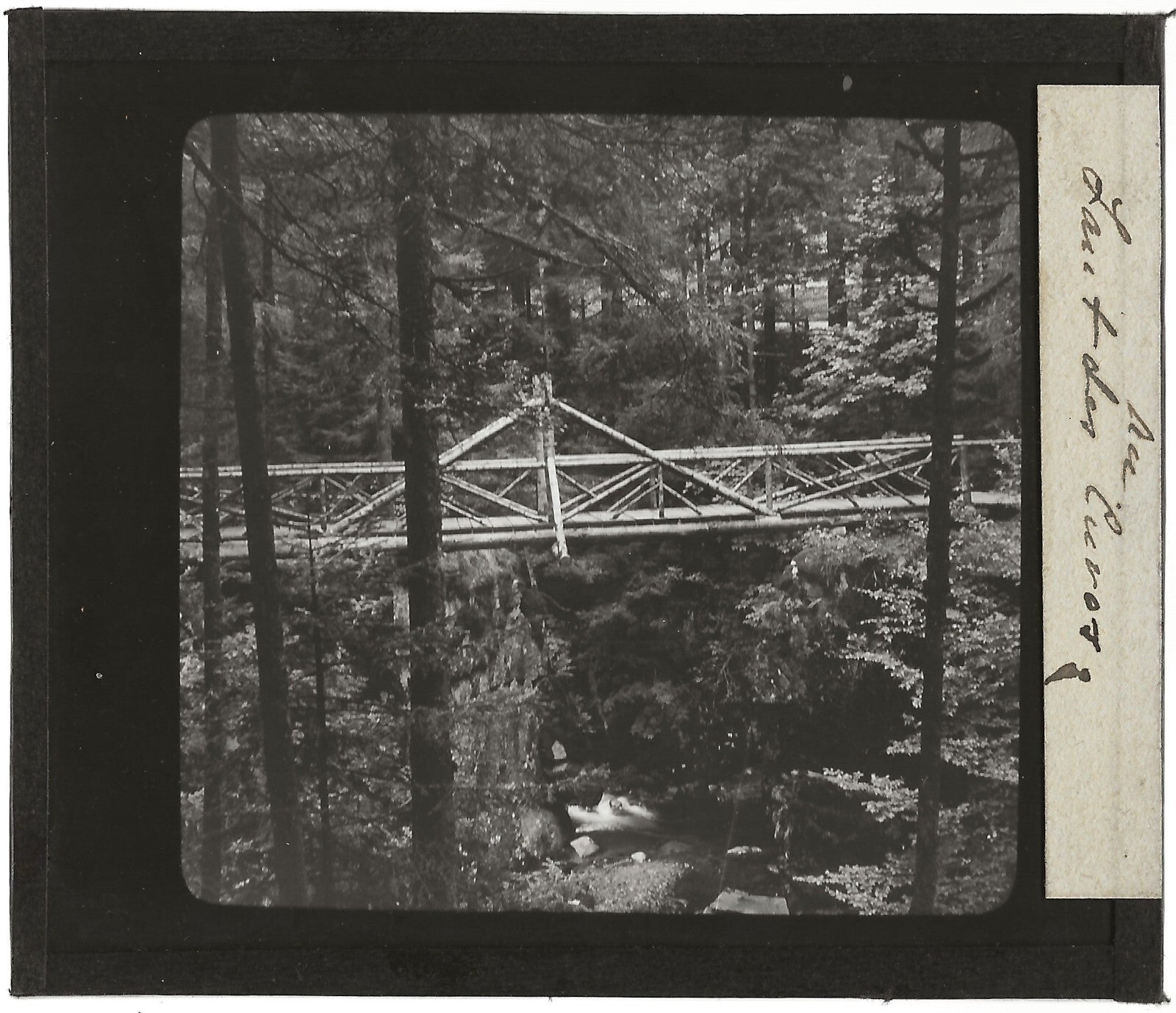 Saut des Cuves, pont en bois, photo ancienne plaque de verre, positif 8,5x10 cm