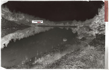 Remiremont, Étang de Xennois, Plaque verre photo, négatif noir & blanc 13x21 cm