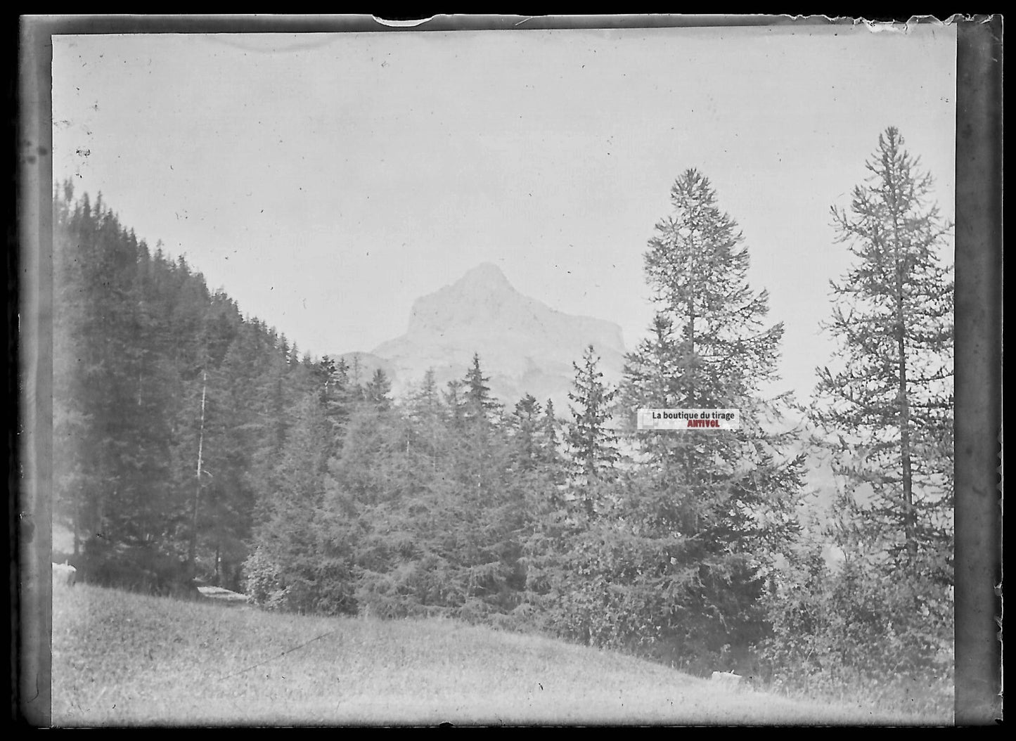Plaque verre photo ancienne négatif noir et blanc 6x9 cm paysage Alpes montagne 