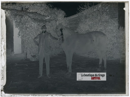 Homme posant avec un cheval, plaque verre photo ancienne, négatif 9x12 cm