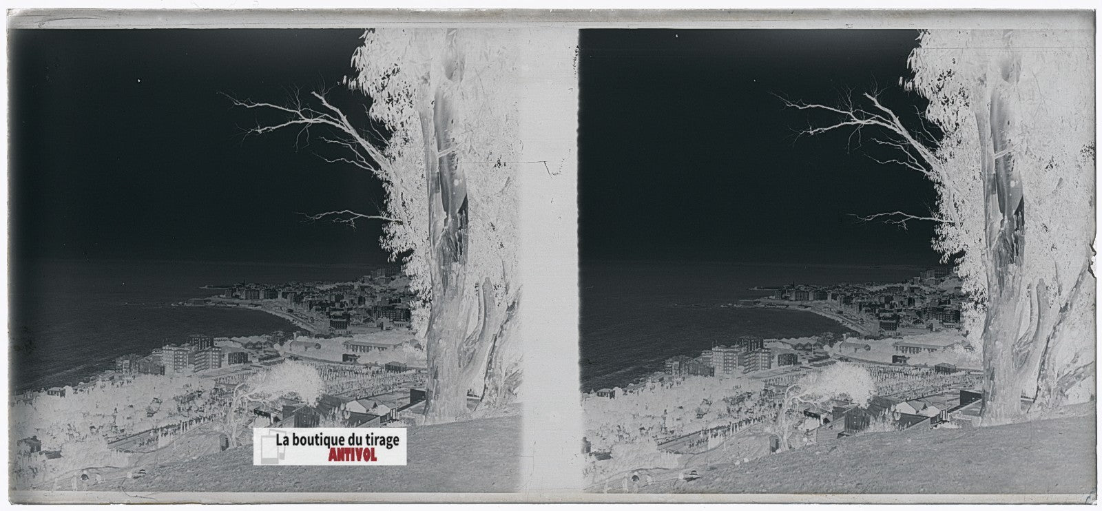 Algérie, Alger mer, plaque verre, photo stéréo, négatif N&B 6x13 cm