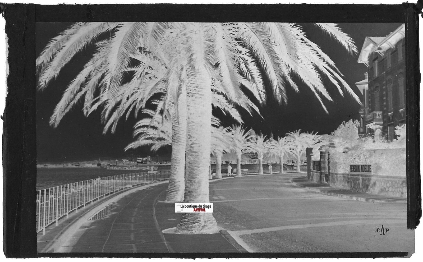 Saint-Raphaël, Félix Martin, Plaque verre photo, négatif noir & blanc 9x14 cm