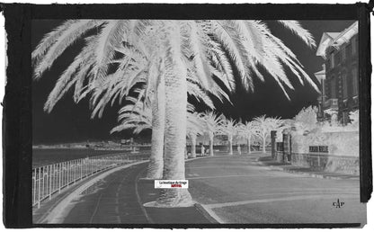 Saint-Raphaël, Félix Martin, Plaque verre photo, négatif noir & blanc 9x14 cm