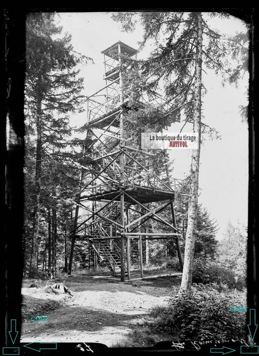 Plaque verre photo ancienne négatif noir et blanc 13x18 cm Remiremont forêt