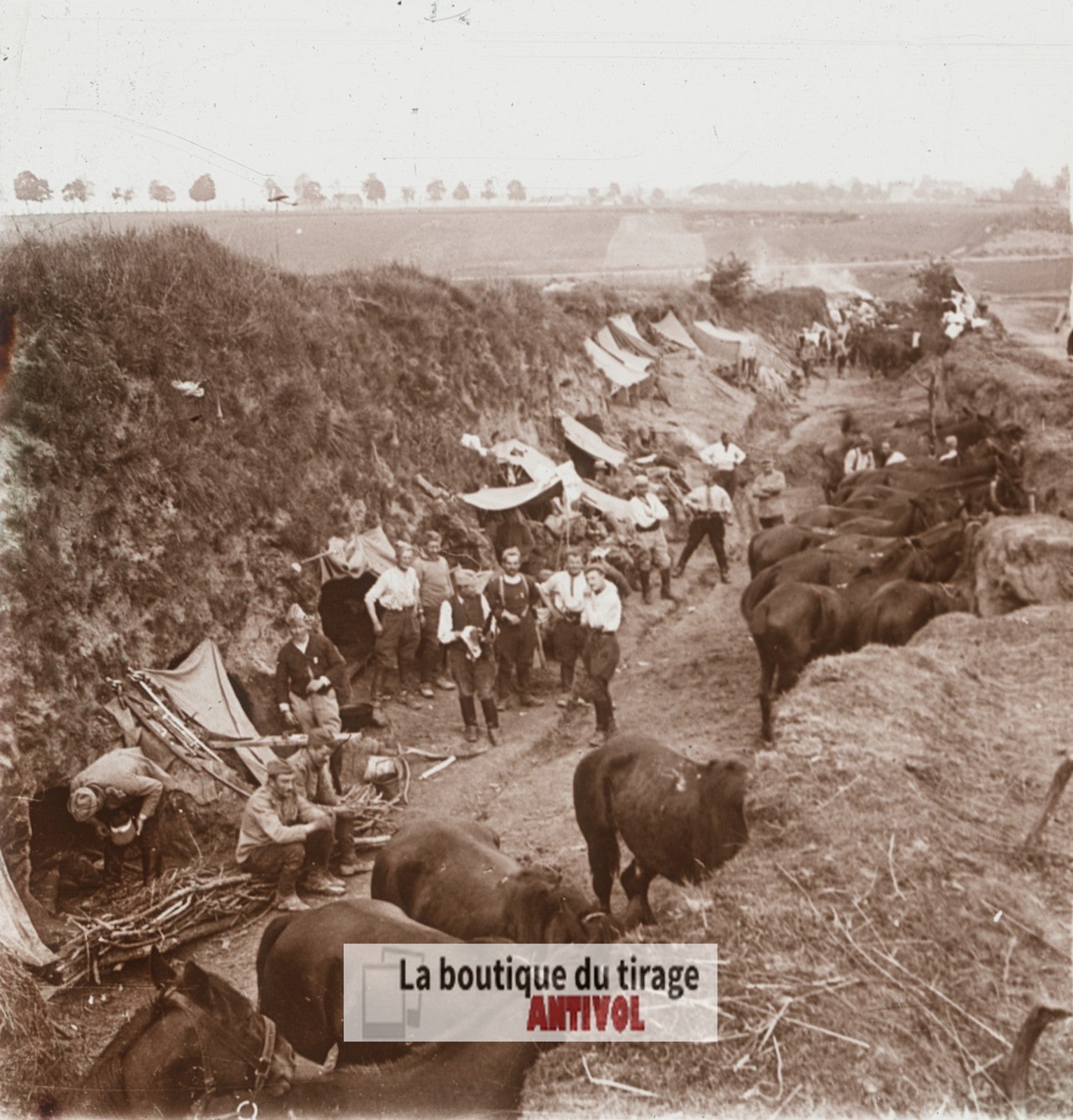 9e régiment de chasseurs, guerre WW1, plaque verre stéréo, photo 4,5x10,7 cm