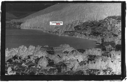 Plaque verre photo négatif noir & blanc 09x14 cm, lac de Gérardmer, France