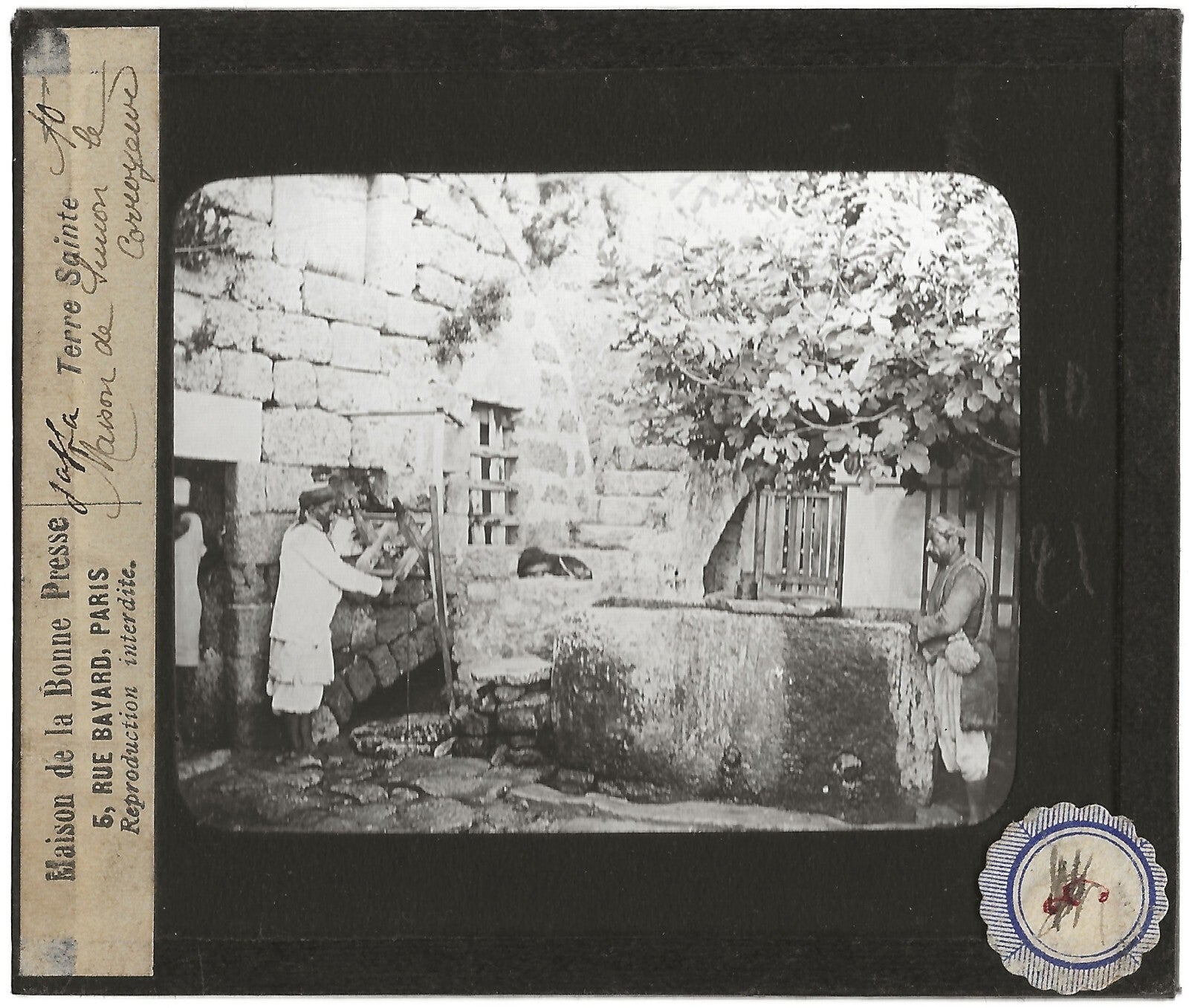 Jaffa, Simon le Corroyeur, photo ancienne plaque de verre, positif 8,5x10 cm