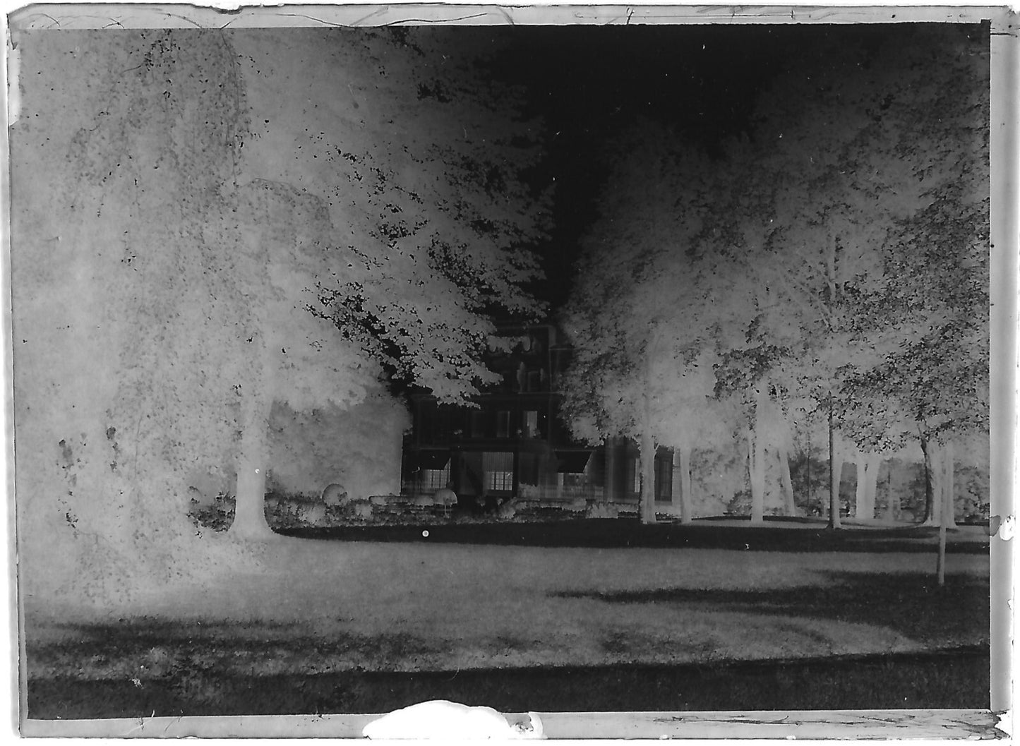 Plaque verre photo ancienne négatif noir et blanc 6x9 cm parc château arbres