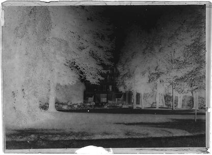 Plaque verre photo ancienne négatif noir et blanc 6x9 cm parc château arbres