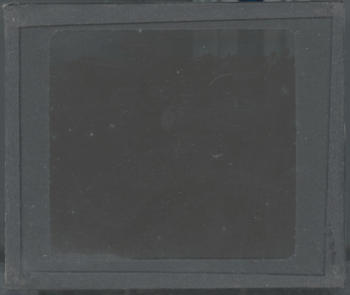 Euphorbe résinifère, Maroc, paysage, photo plaque verre, positif 8,5x10 cm