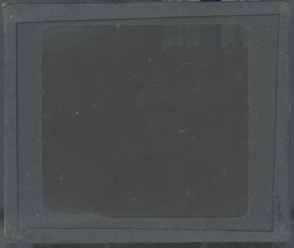 Euphorbe résinifère, Maroc, paysage, photo plaque verre, positif 8,5x10 cm