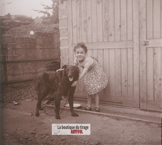 Petite fille, animal chien, France, plaque verre photo ancienne stéréo 6x13 cm
