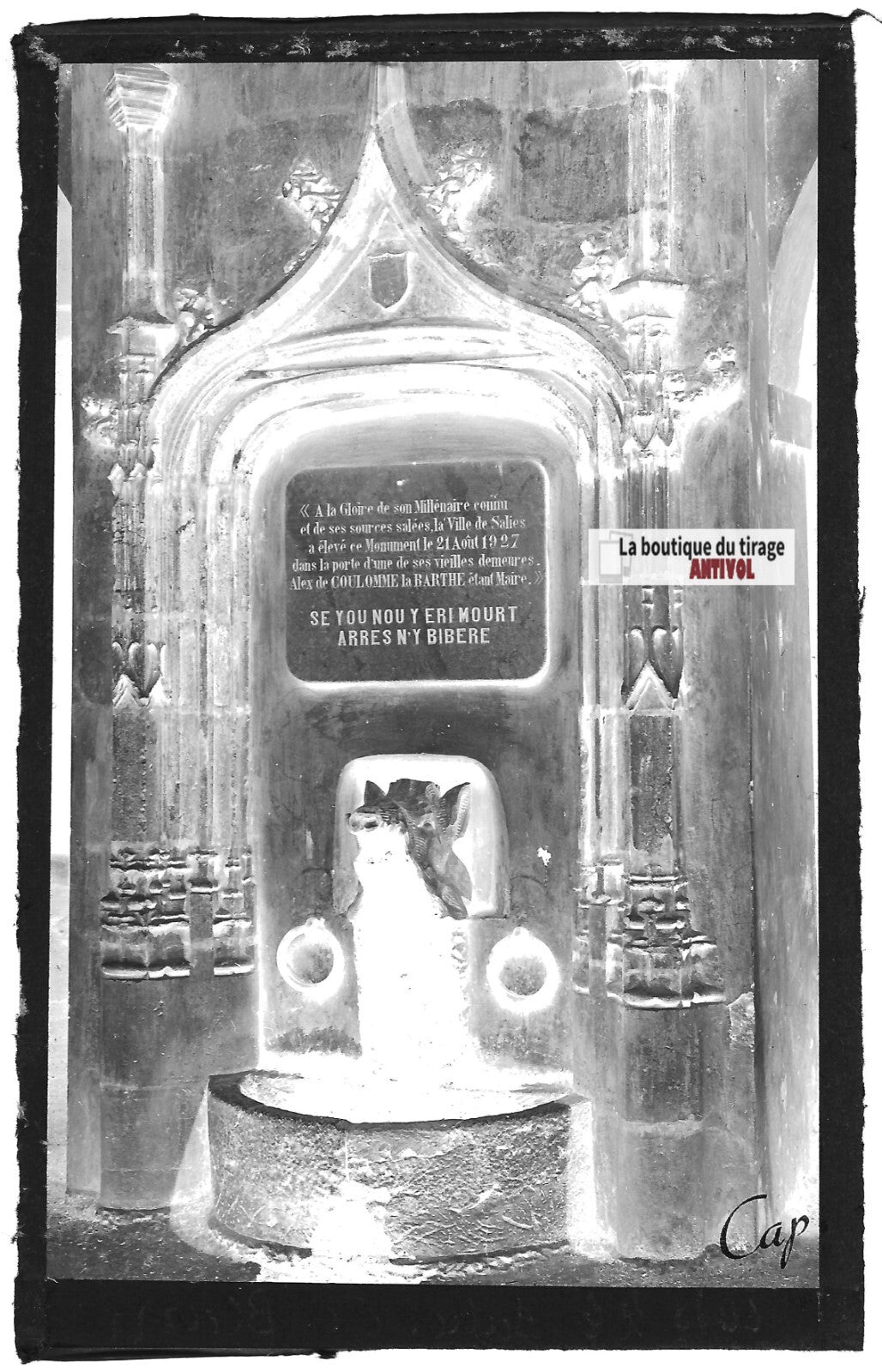 Plaque photo négatif noir & blanc 9x14 cm Salies-de-Béarn, fontaine sanglier