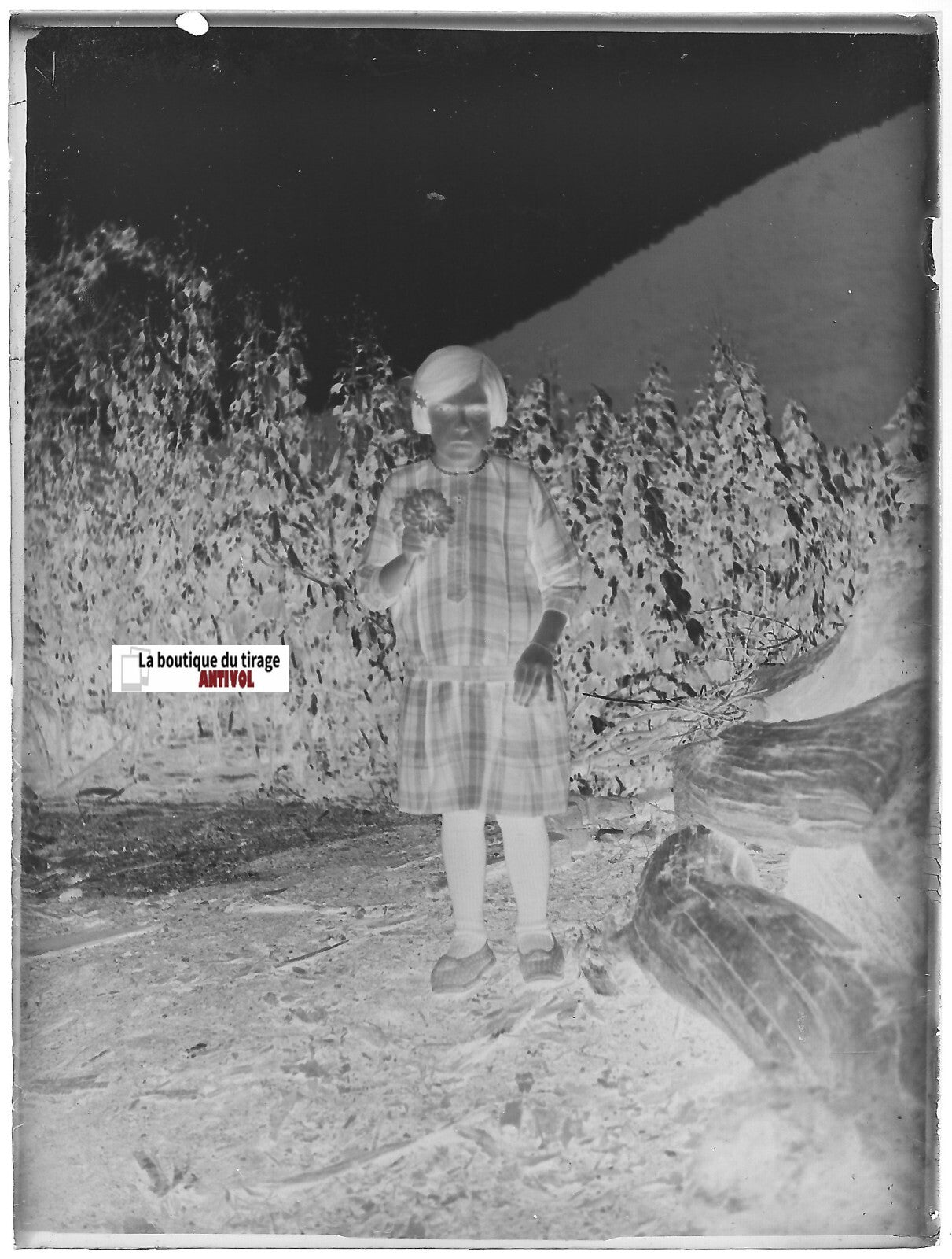 Petite fille, colère, Plaque verre photo ancienne, négatif noir & blanc 9x12 cm