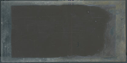 Scène de vie, Longchamp, Paris, plaque verre stéréoscopique, positif 8,5x17 cm