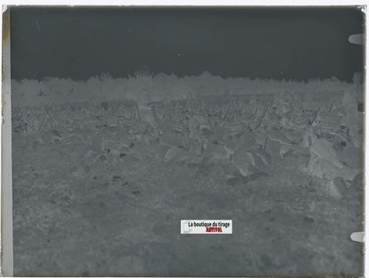 Soldats français au repos, plaque verre, photo ancienne, négatif N&B 9x12 cm