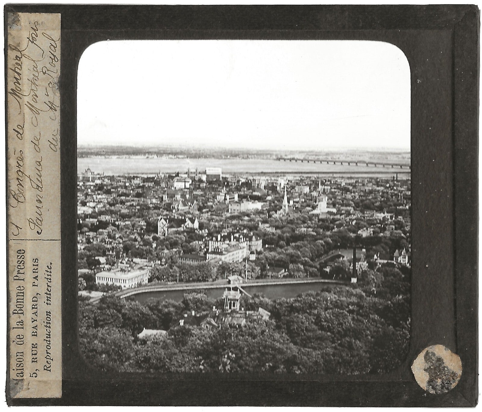 Mont Royal, Panorama Montréal, photo ancienne plaque de verre, positif 8,5x10 cm