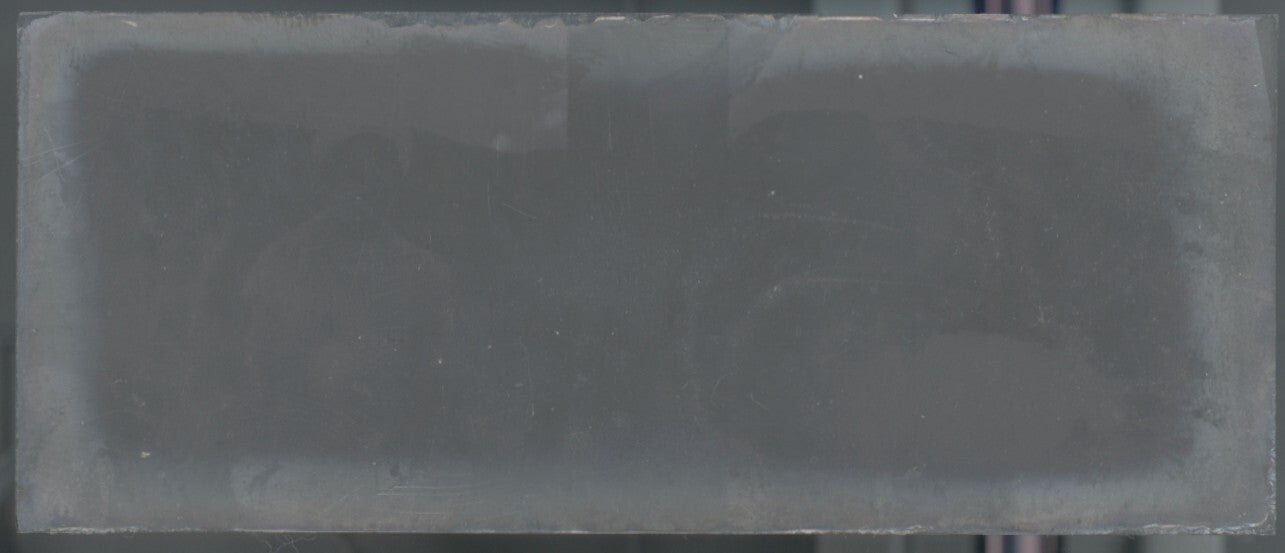 Famille, Belgique, Plaque verre stéréoscopie, négatif noir & blanc 4,5x10,7 cm