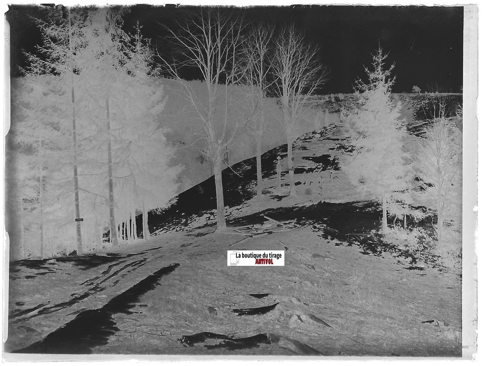 Croix, forêt neige, Plaque verre photo, négatif ancien noir & blanc 9x12 cm