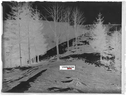 Croix, forêt neige, Plaque verre photo, négatif ancien noir & blanc 9x12 cm