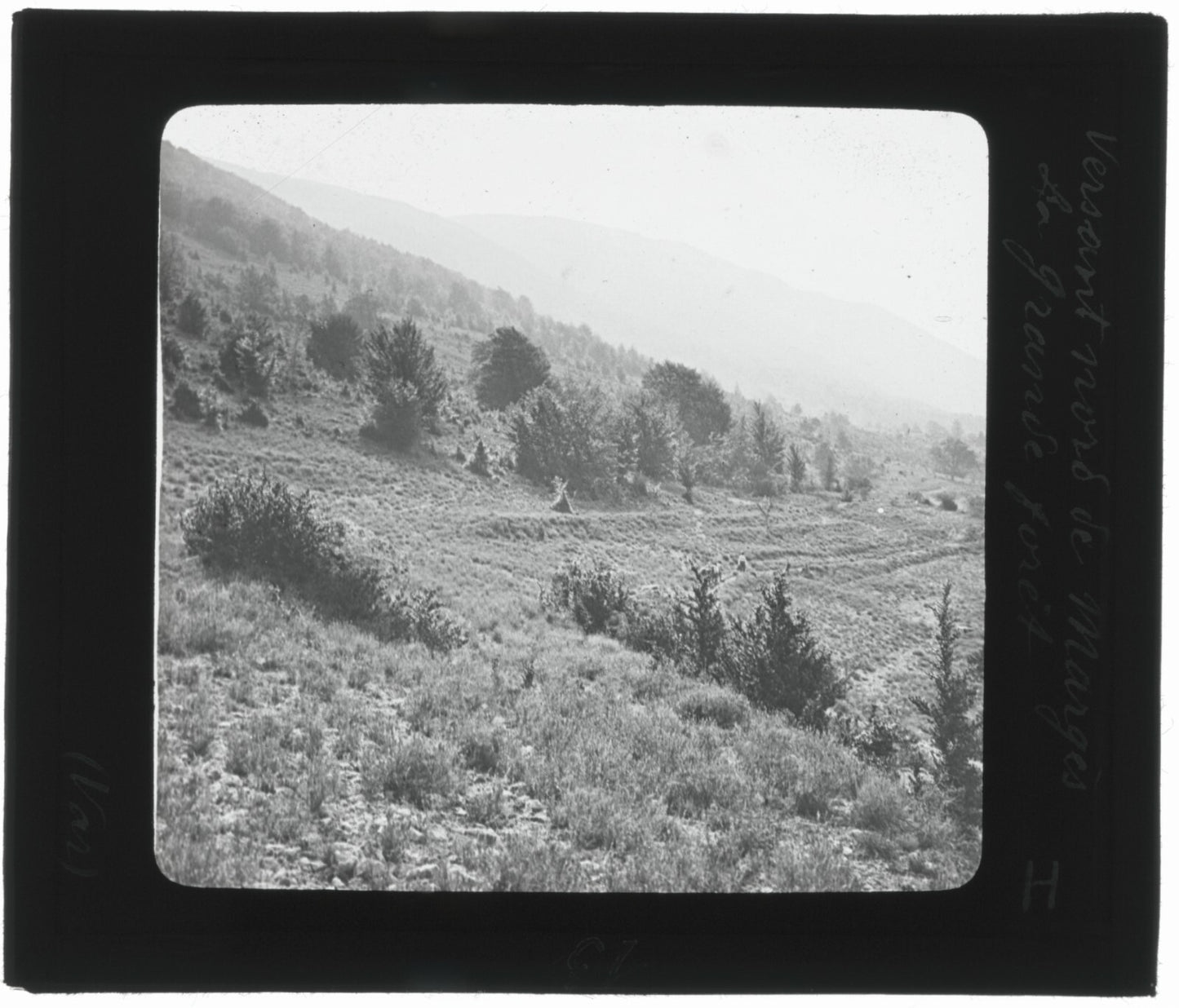 Montagne Grand Margès, Var, photo ancienne plaque de verre, positif 8,5x10 cm
