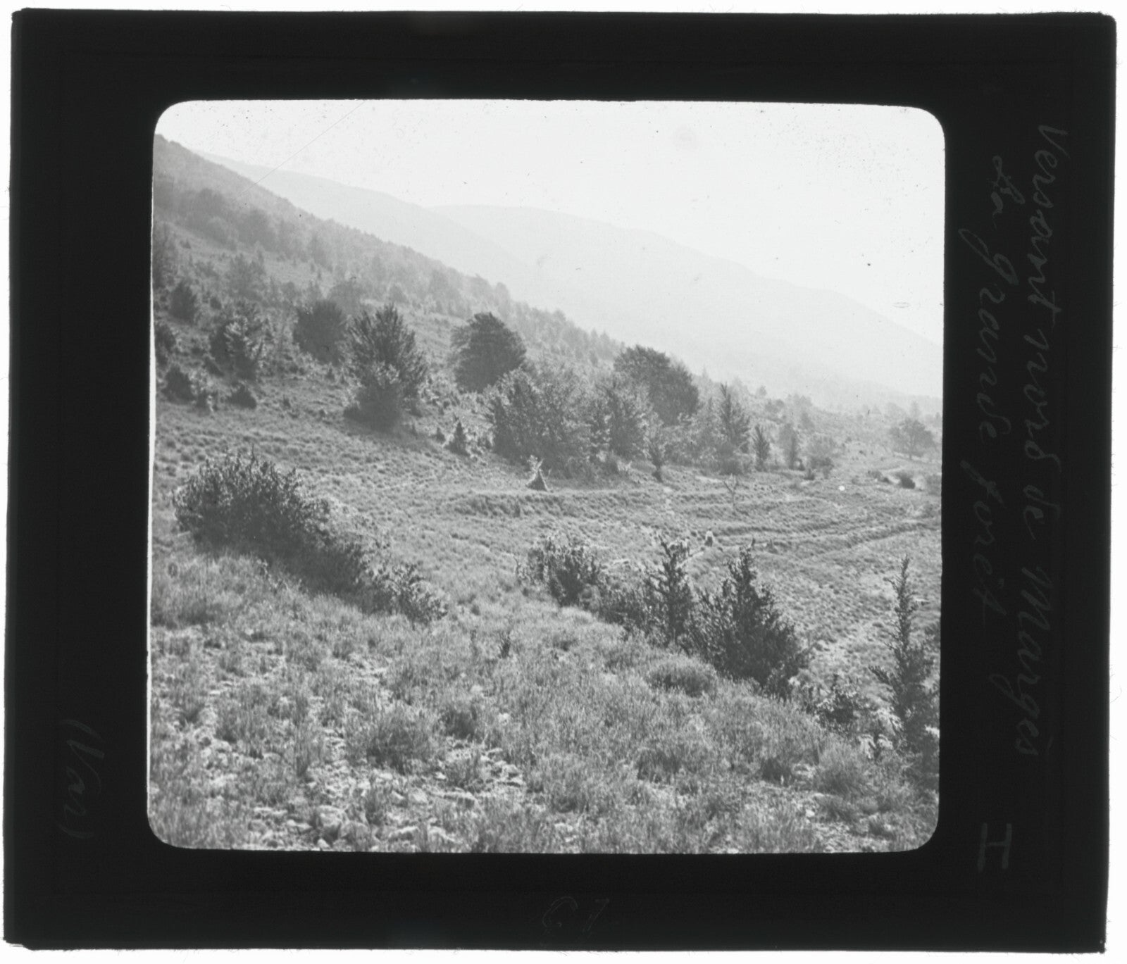 Montagne Grand Margès, Var, photo ancienne plaque de verre, positif 8,5x10 cm