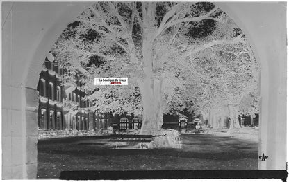 Plaque verre photo, négatif noir & blanc 9x14 cm, Mont Sainte-Odile, sanctuaire