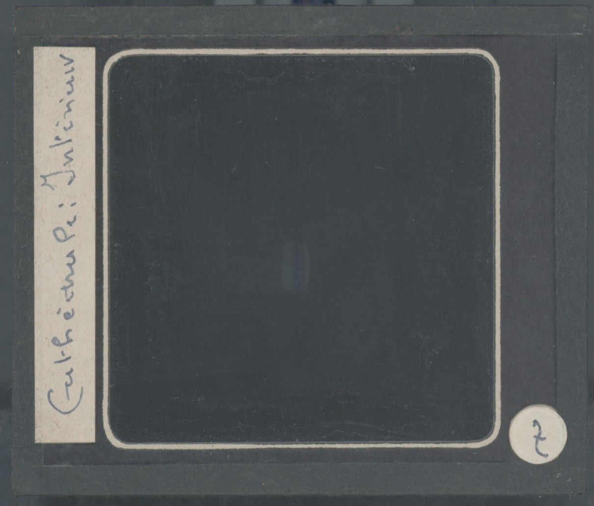 Cathédrale Strasbourg, photo plaque verre, noir & blanc, positif 8,5x10 cm