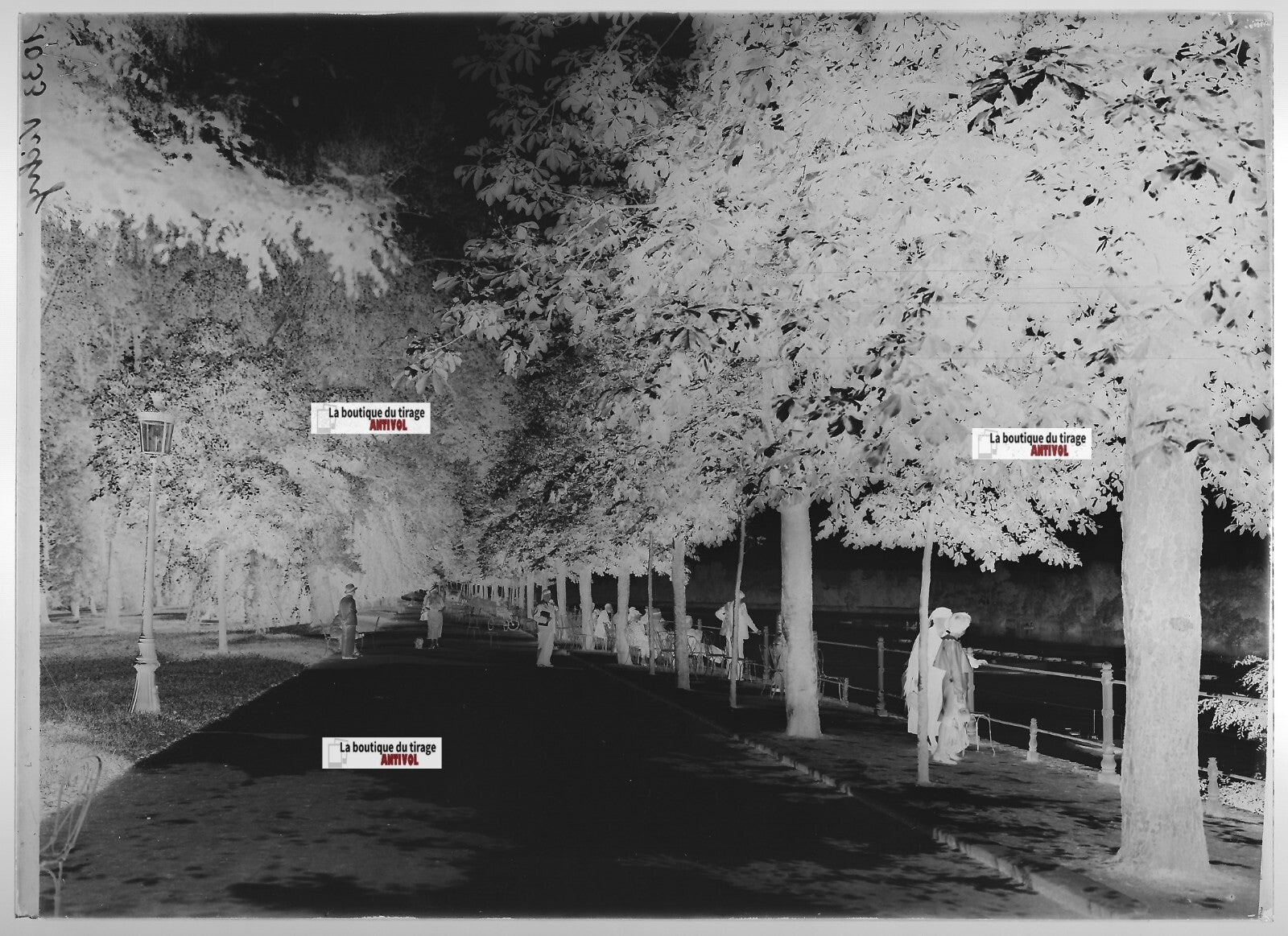 Plaque verre photo ancienne négatif noir et blanc 13x18 cm Vichy rivière Allier