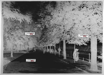 Plaque verre photo ancienne négatif noir et blanc 13x18 cm Vichy rivière Allier