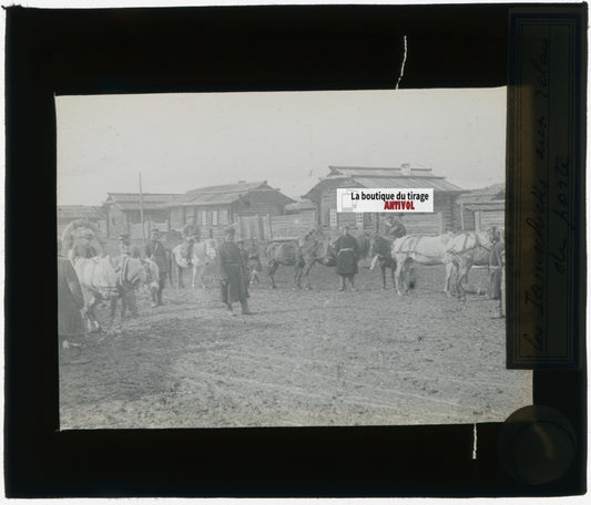 Peuple, chevaux, Russie, photo plaque verre, noir & blanc, positif 8,5x10 cm